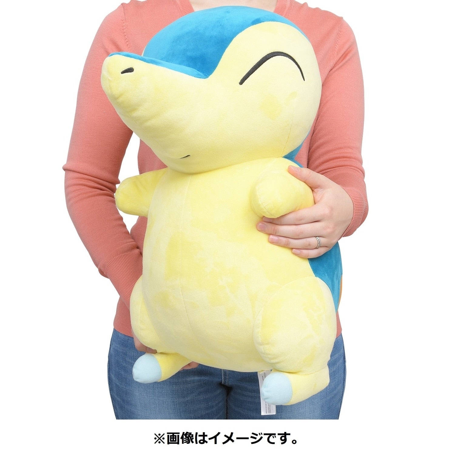 Plush toy life-size Hinoarashi