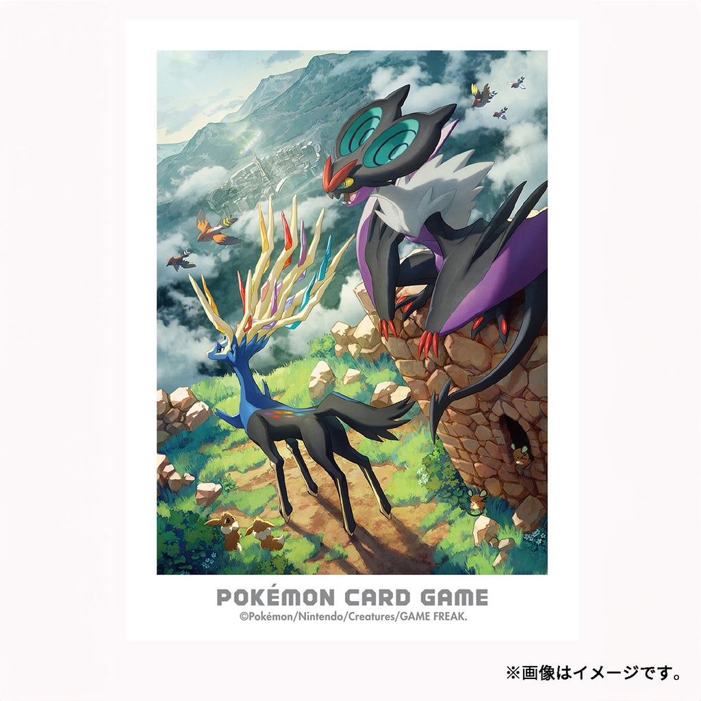 Pokemon TCG Deck Shield - Kalos Adventure: Xerneas & Noivern