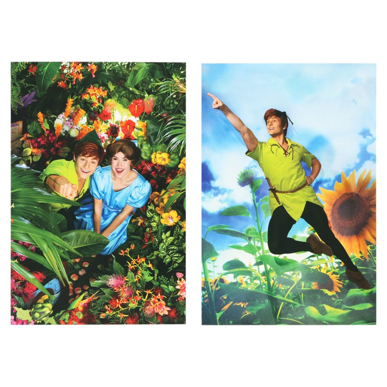 2 postcards Peter Pan Imagining the Magic