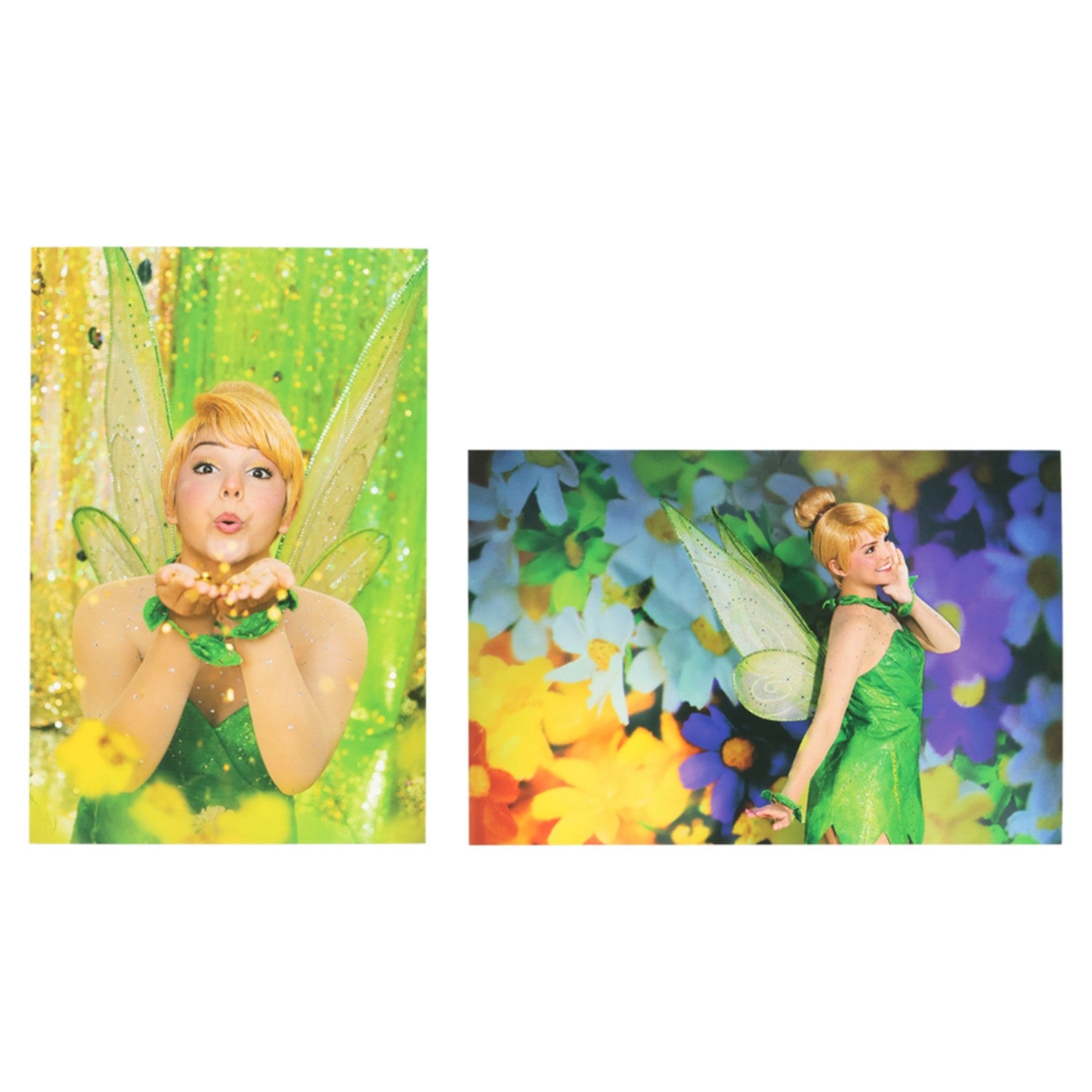 2 Postcards Disney Tinkerbell Imagining the Magic