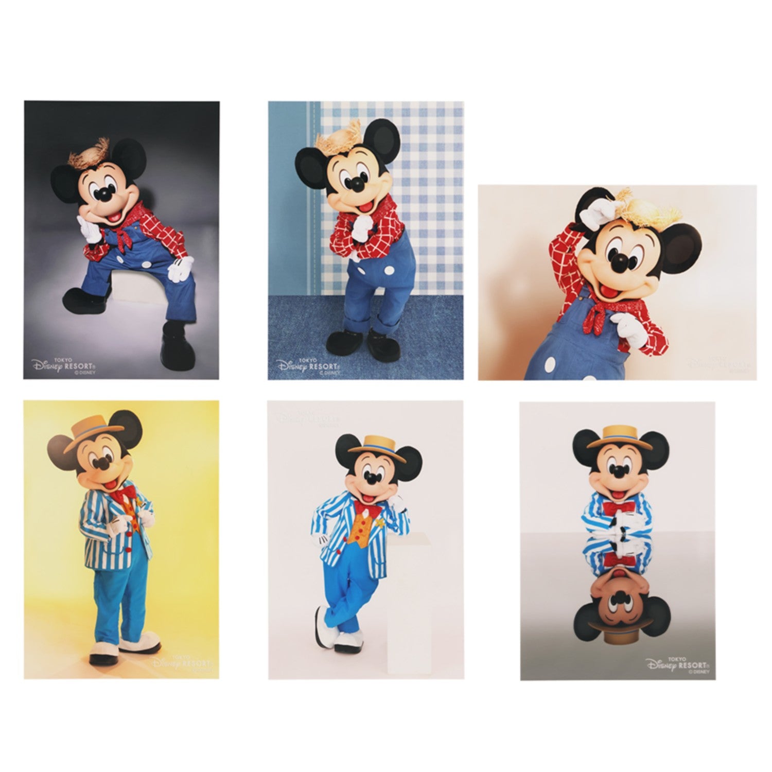 photo mickey
