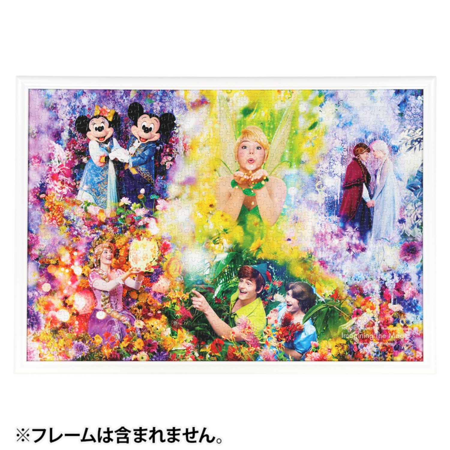 1000 piece jigsaw puzzle imagining the magic