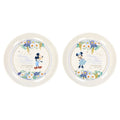 2 Plates Mickey Minnie Disney Blue Ever After