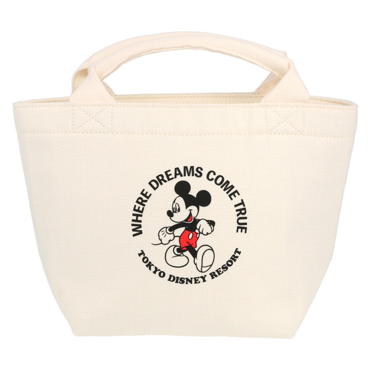 lunch bag mickey