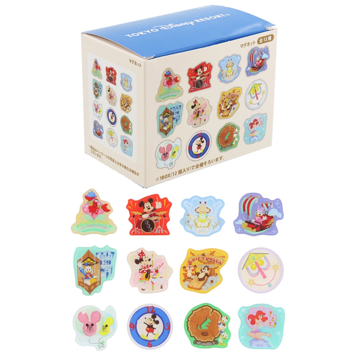 12 decoration magnets Tokyo Disney Resort