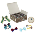 Accessories 6 boxes Anna Elsa