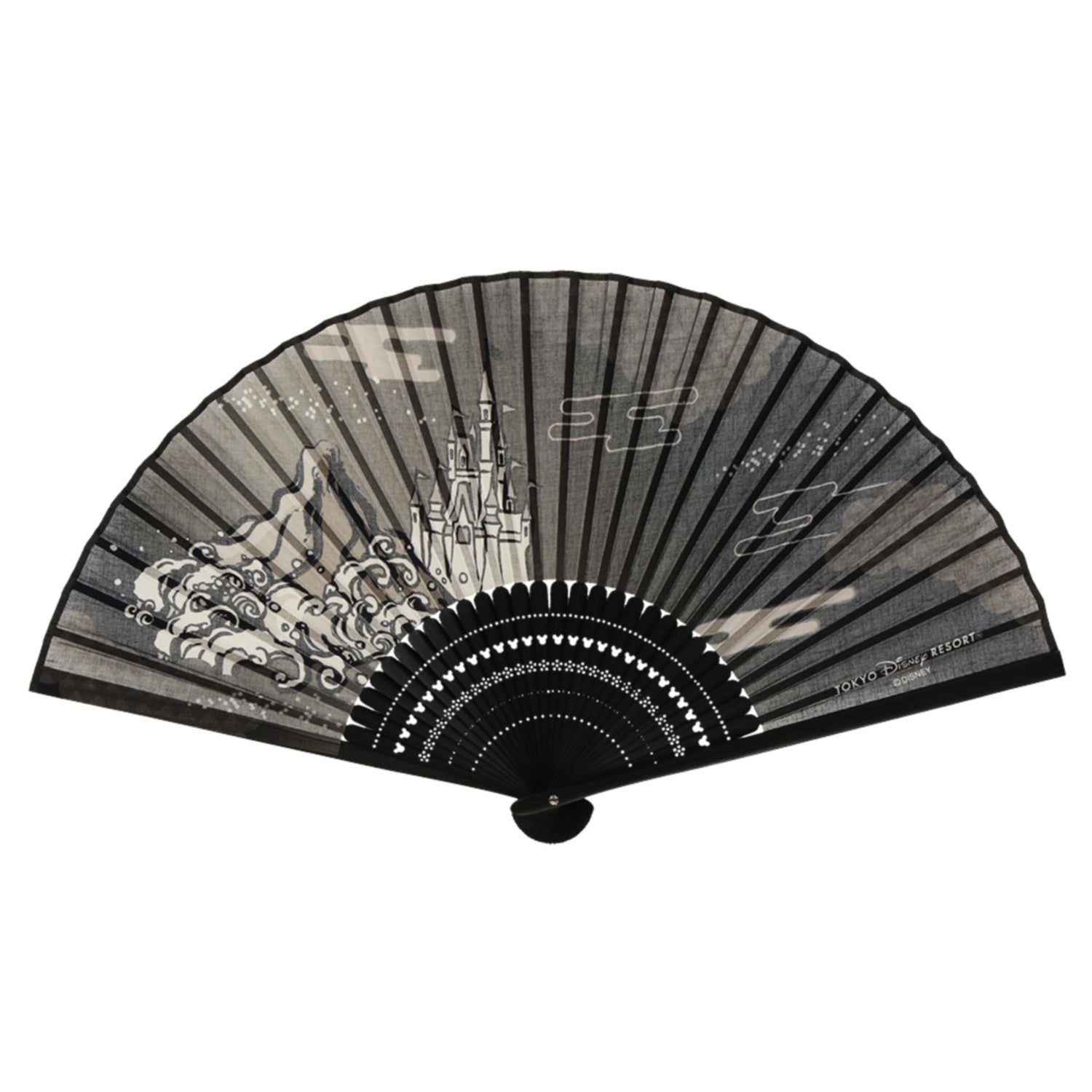 Fan Tokyo Disney Resort