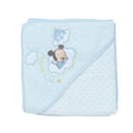 baby swaddle mickey