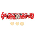 chocolate cookie bag minnie