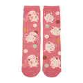[Choice] Middle socks pudding & salmon tail (23-25cm)