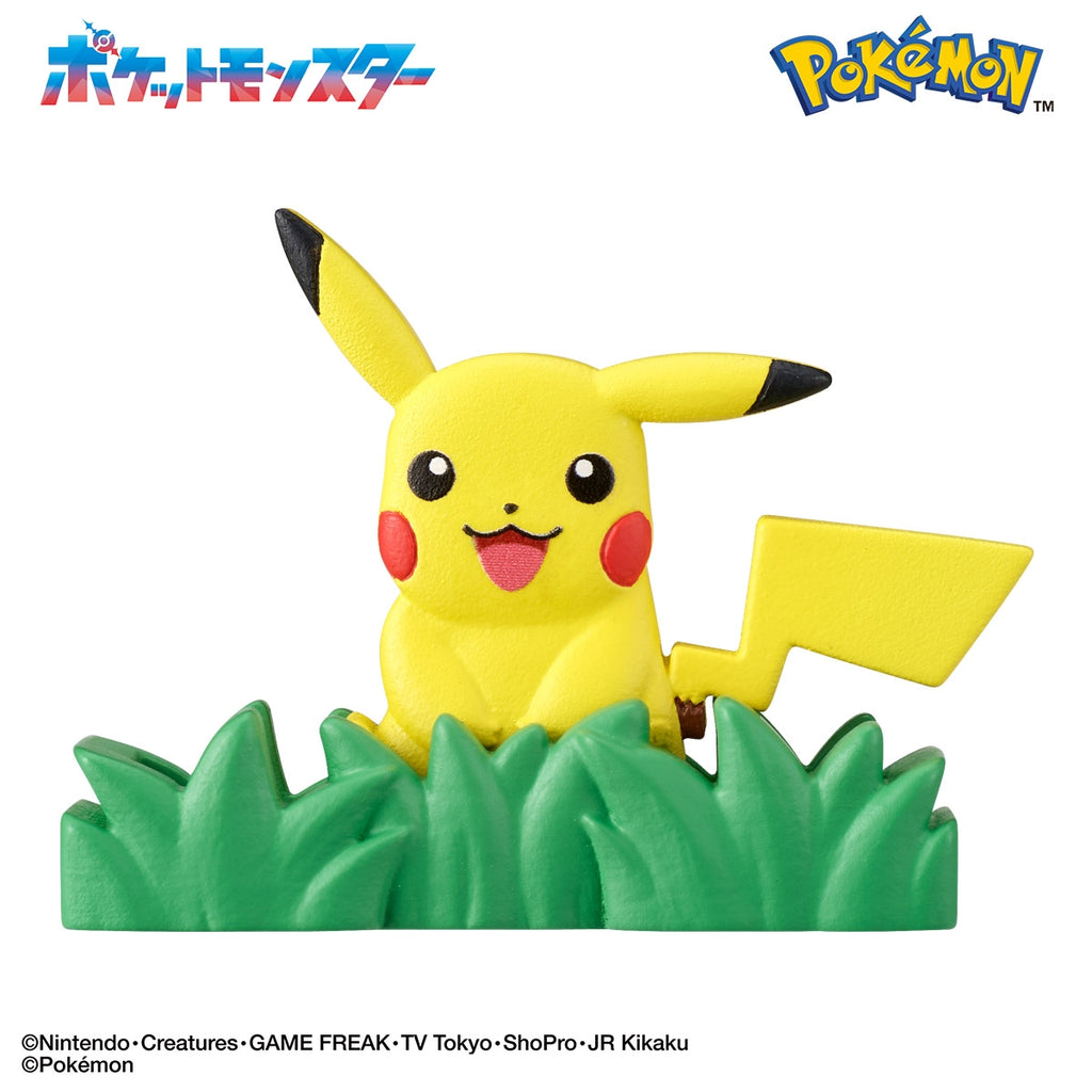 Surprise Egg Can you understand Pokemon? ~ Adventure in the grass ~