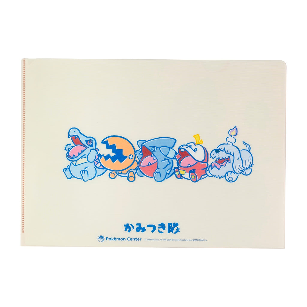 A4 changing clear file Kamitsukitai