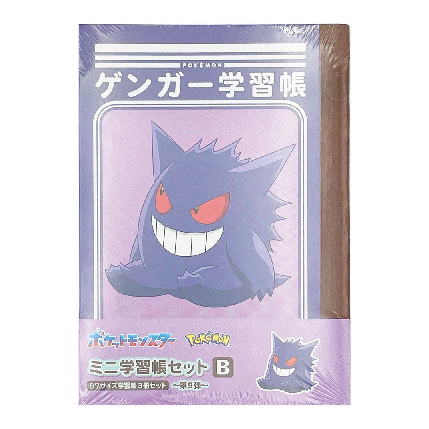 Pokemon Mini Study Book Set 9-B with colorful cover from Japan