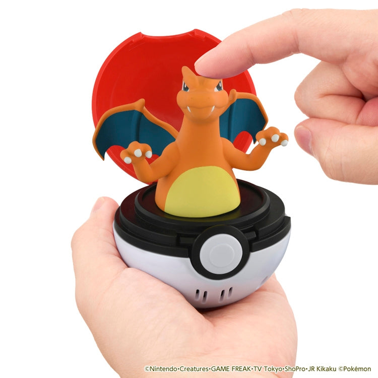 Pyokopunyu Charizard