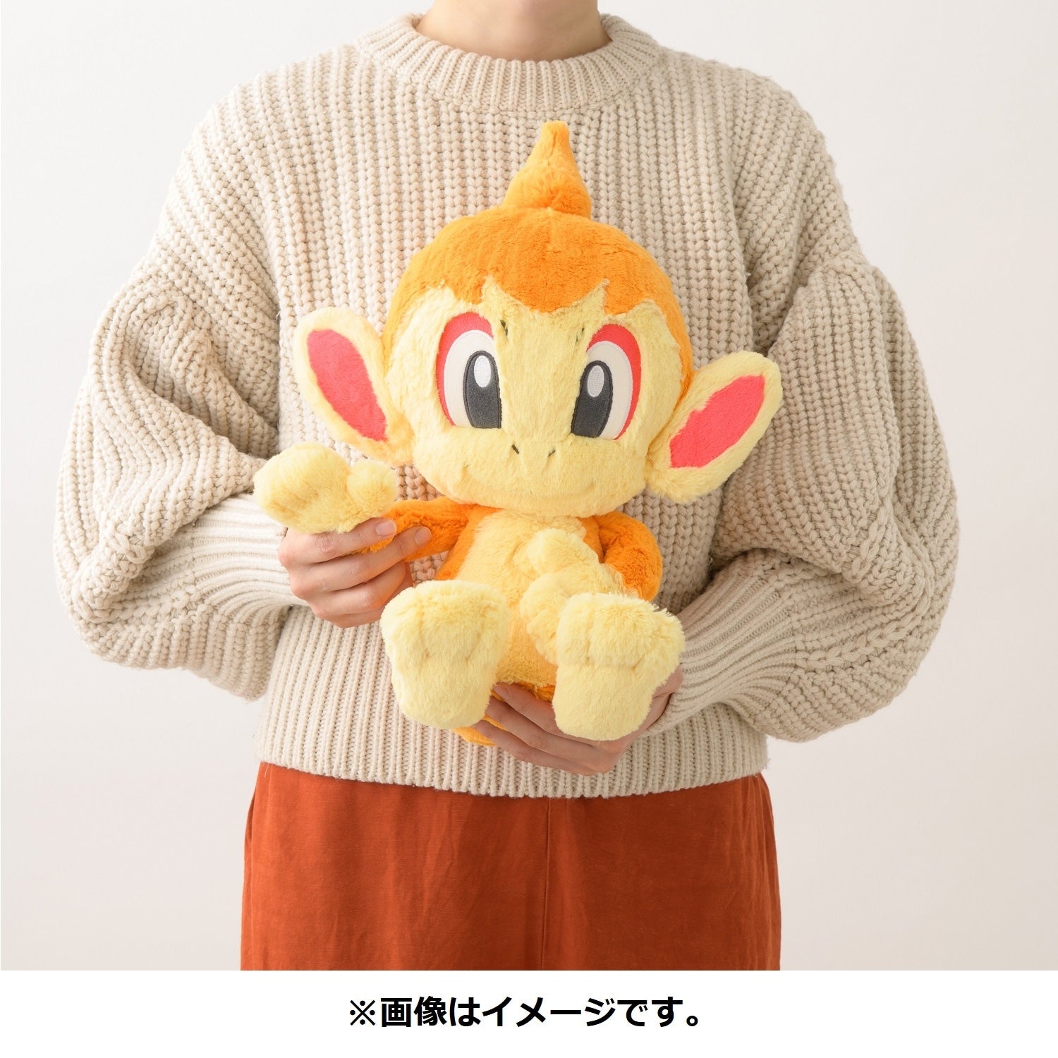 Pokemon Hikozaru plushie from Japan with official Pokemon Center tag