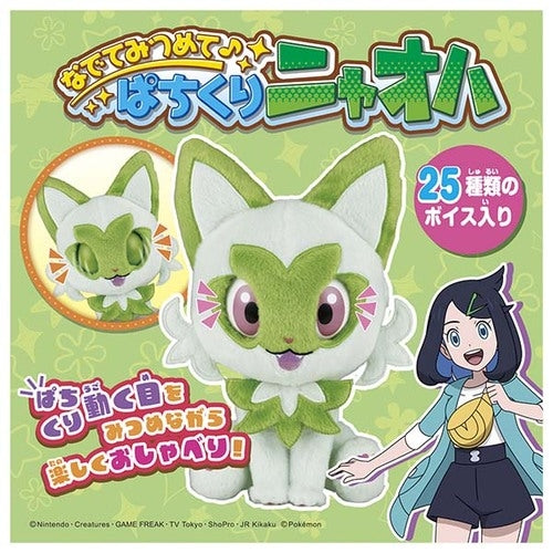 Stroke me and look at me ♪ Pachikuri Nyaoha