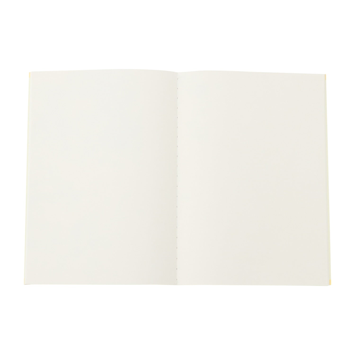 Japonica study book Jiyuchou POKÉMON SCHOOL