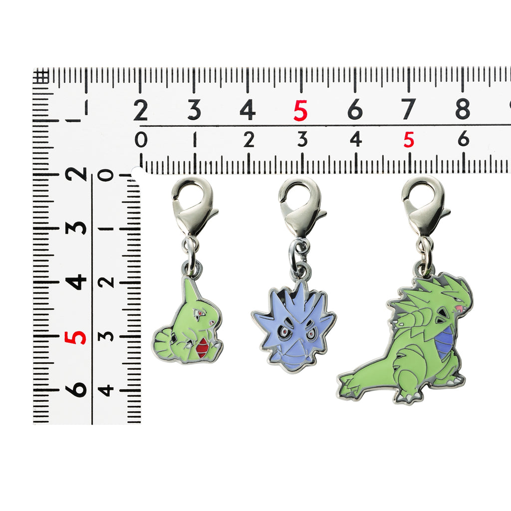 Pokemon National Encyclopedia 246 metal charm, authentic Japanese collectible with intricate details
