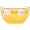Pokemon Nuri small bowl with unique design from Japan