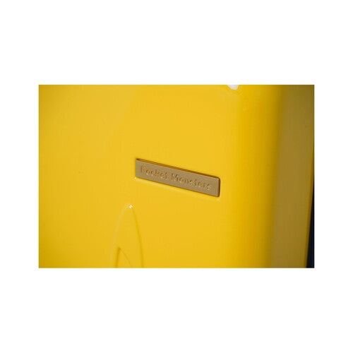 Pikachu luggage from Japan, rare anime collector item with Generation 1 Kanto Pokemon