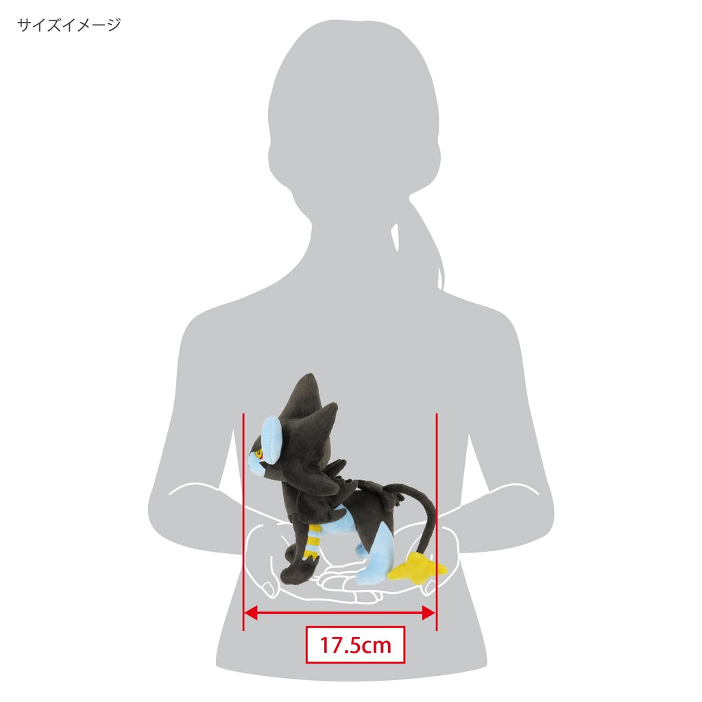 Adorable Pokemon plush toy sitting down with Japanese packaging