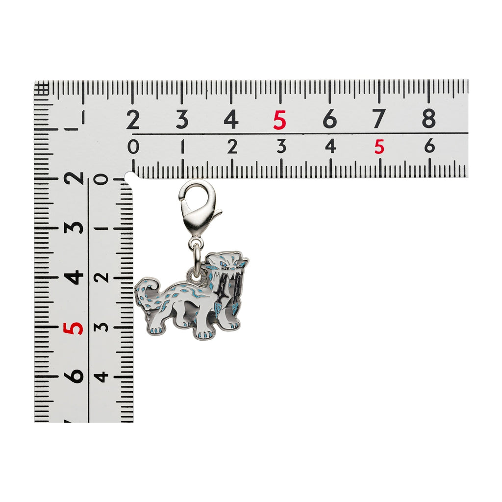 Pokemon Metal Charm collectible item from Japan, official licensing and quality build
