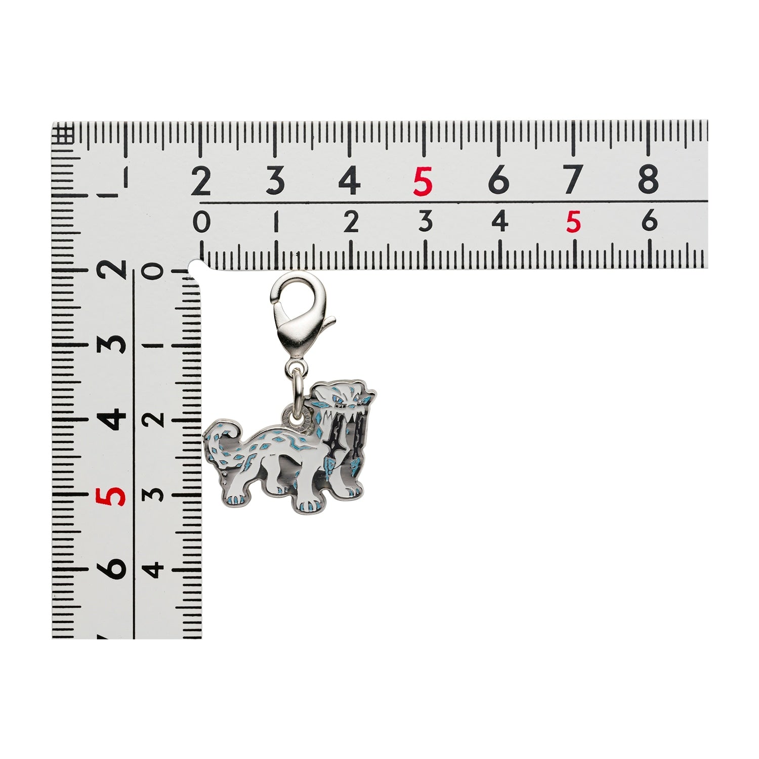Pokemon Metal Charm collectible item from Japan, official licensing and quality build