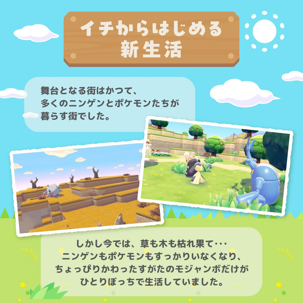 Pokémon Poko – Official Japan-Exclusive Game Software (Pokemon Center)