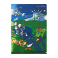 A4 Clear File Pokemon Ecology Picture Book Life Rhythm
