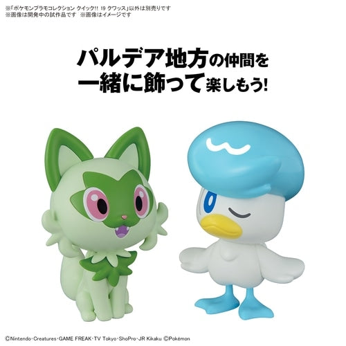 Japanese Pokemon plastic model collection, highlighting unique character accessories