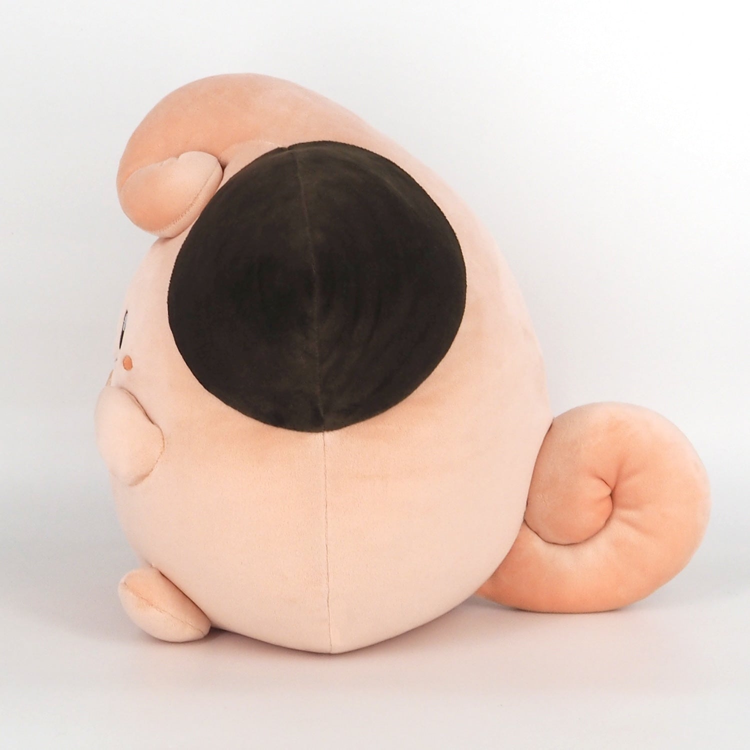 Potehugu Cushion Pi