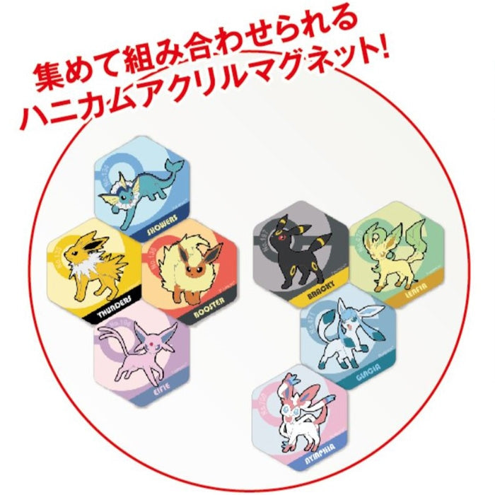 Honeycomb acrylic magnet BIG vol.3 Nymphia
