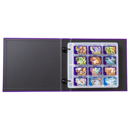 Pokemon Friend Folder DX Japan import, highlighting product's packaging and authenticity