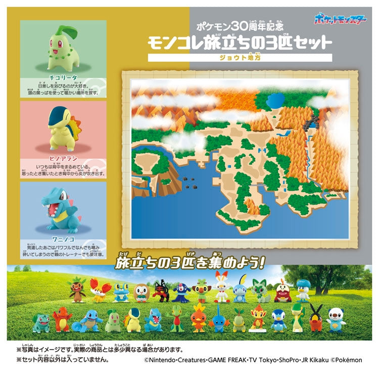 Rear view of Pokemon figures, Japanese anime collectibles