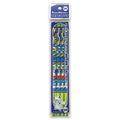 Kakikata Pencil 6B 4 pack with Charmander design from Japan