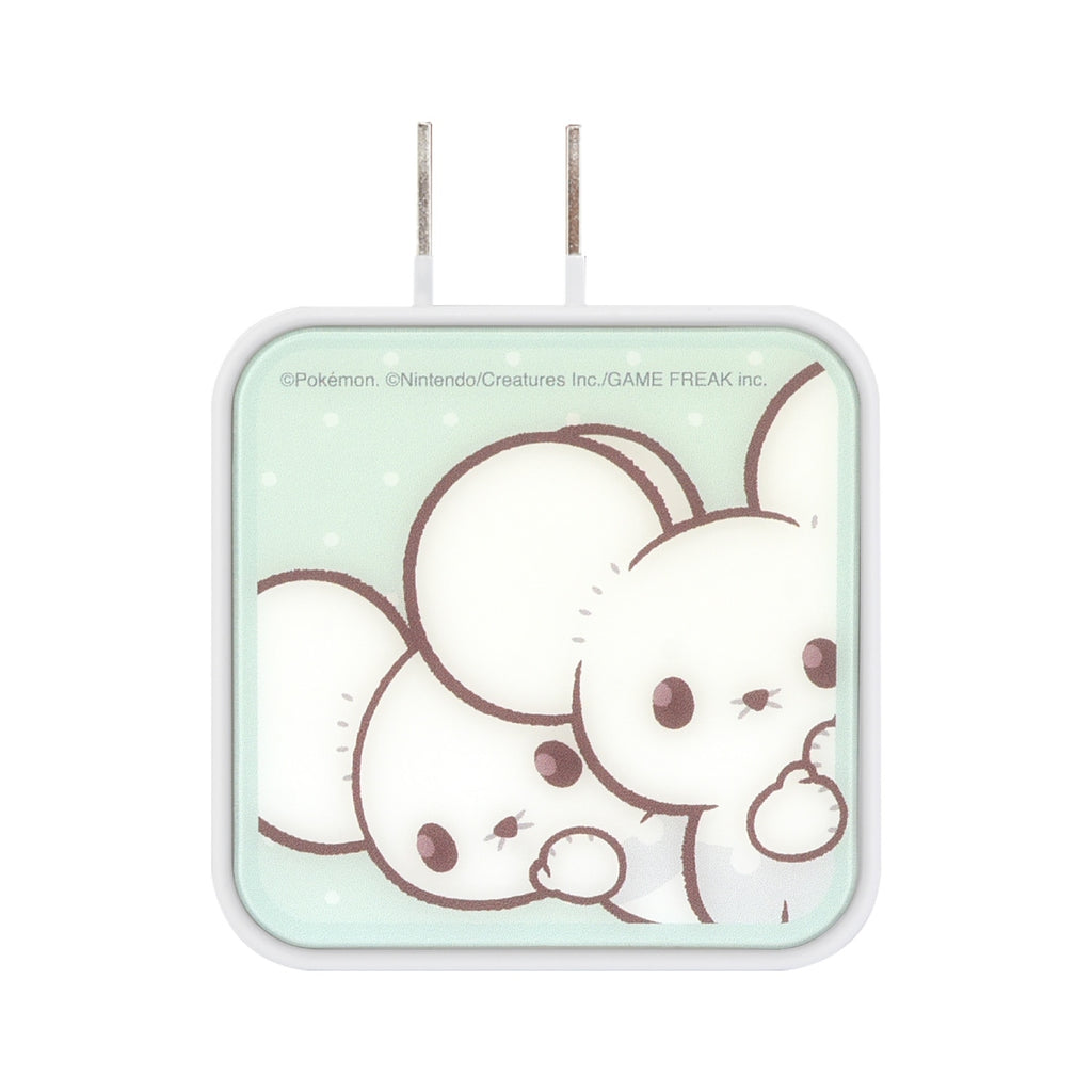 Pokepiece USB/USB Type-C AC adapter Wakkarat