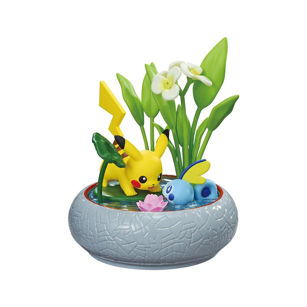 Authentic Pocket BONSAI3 With the changing seasons BOX from Japanese vendor