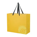 Shopper POKÉMON CENTER25th Pikachu