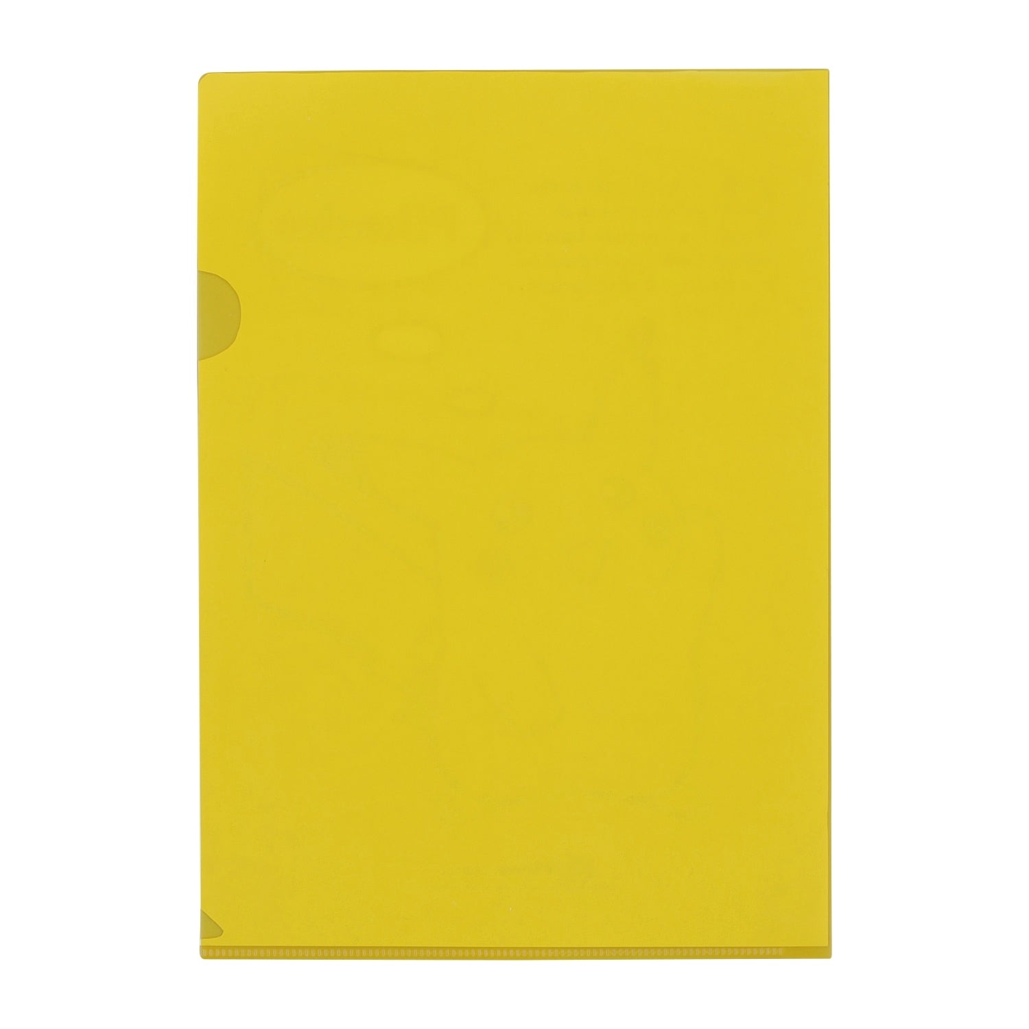 A4 clear file POKÉMON CENTER25th Pikachu