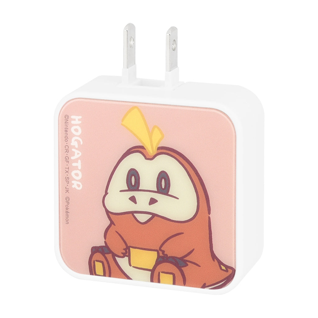 USB/USB Type-C AC adapter Hogator