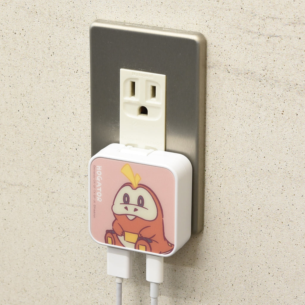 USB/USB Type-C AC adapter Hogator