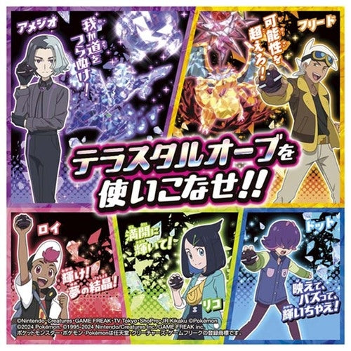 Terrastal Orb DX from Japan, featuring intricate Pokemon details