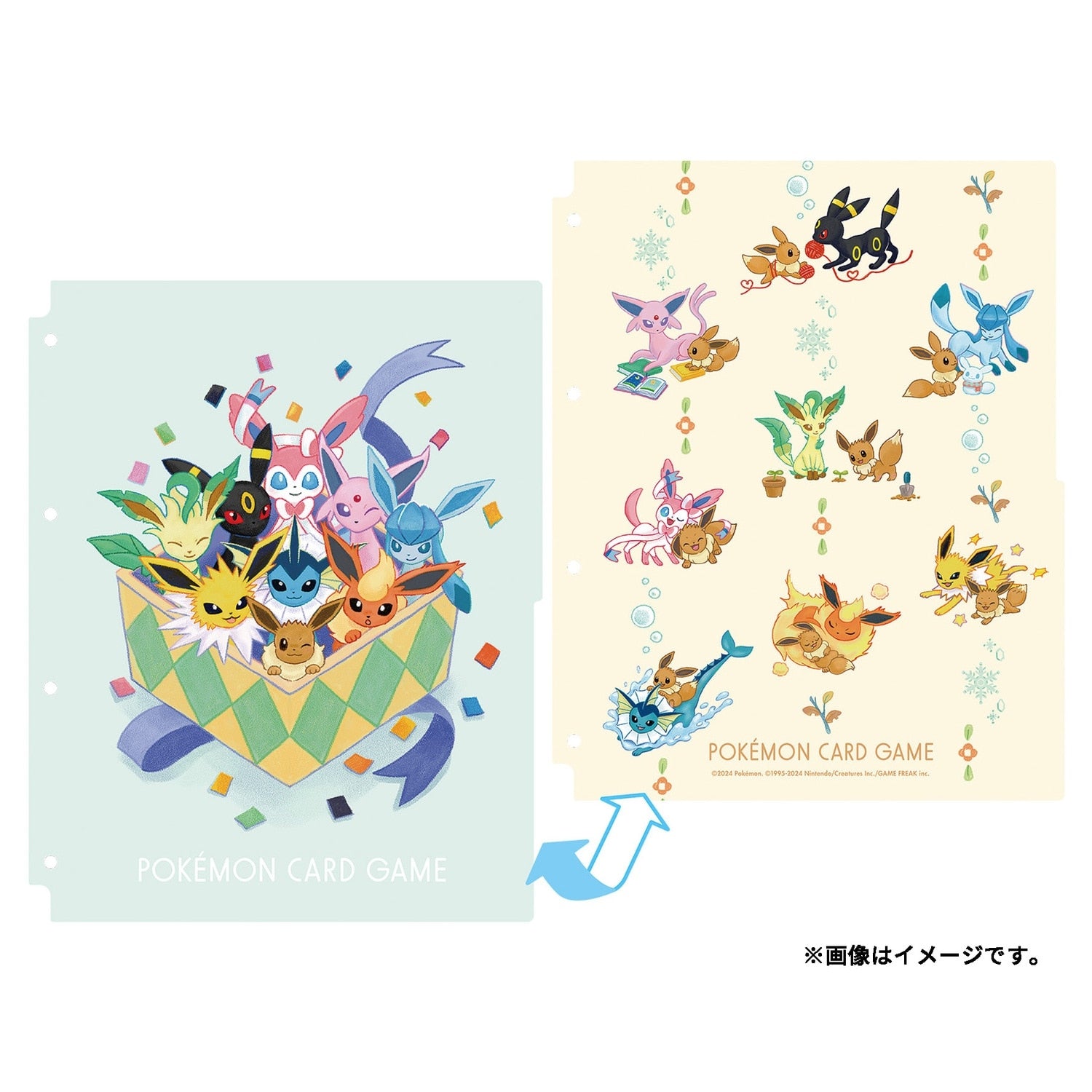 Pokémon TCG Collection Refill – Eevee & Eeveelutions | Japan Exclusive