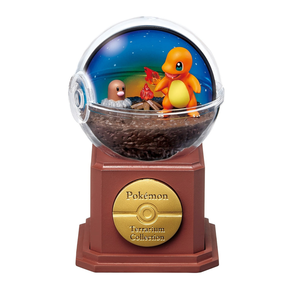 Terrarium collection 10