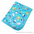 Cool Blanket Pokemon 23