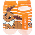 Carax Eevee Border Junior (15-21cm)