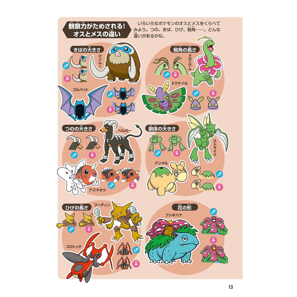 Pokemon ecology encyclopedia
