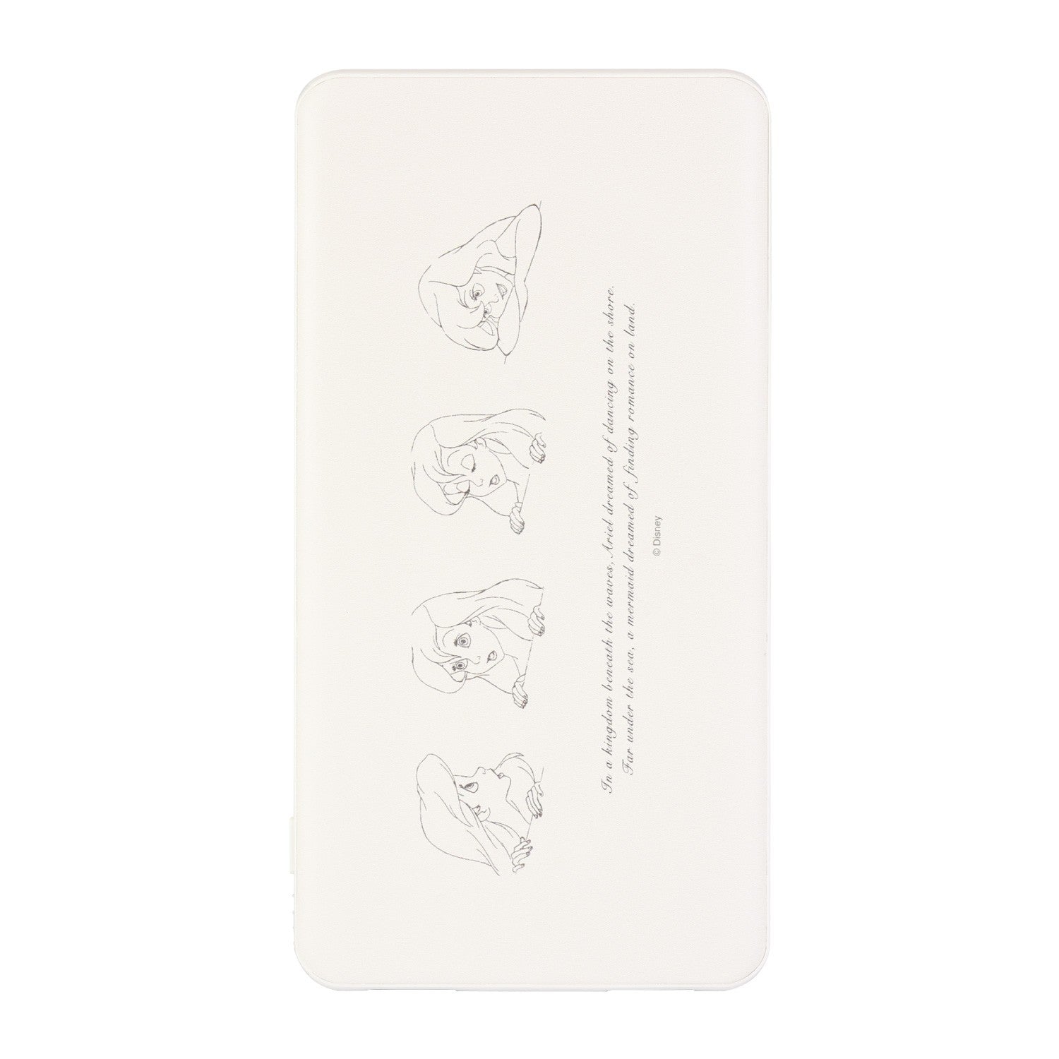 Ariel USB/USB Type-C 4000mAh Lithium Ion Polymer Charger 2.1A Expression DNG-11B