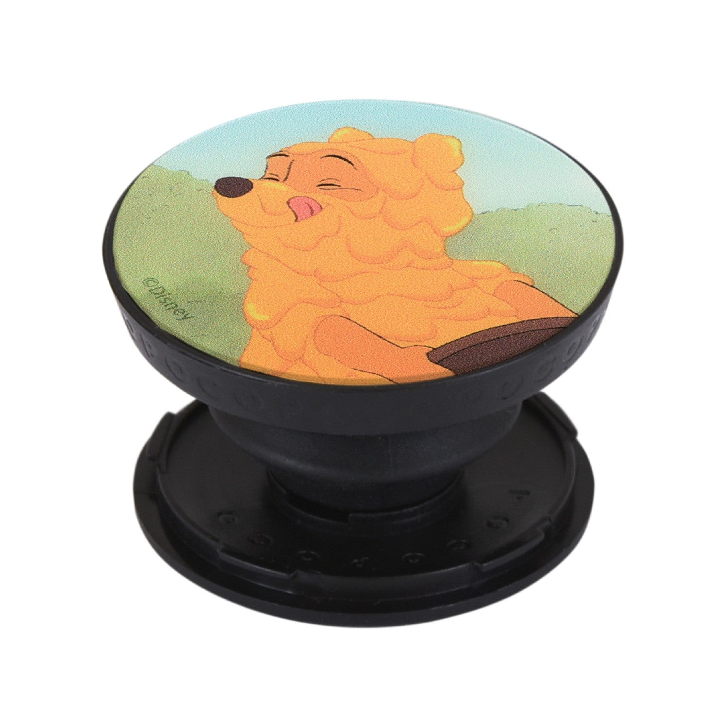 Winnie the Pooh Honey POCOPOCO DNG-103B