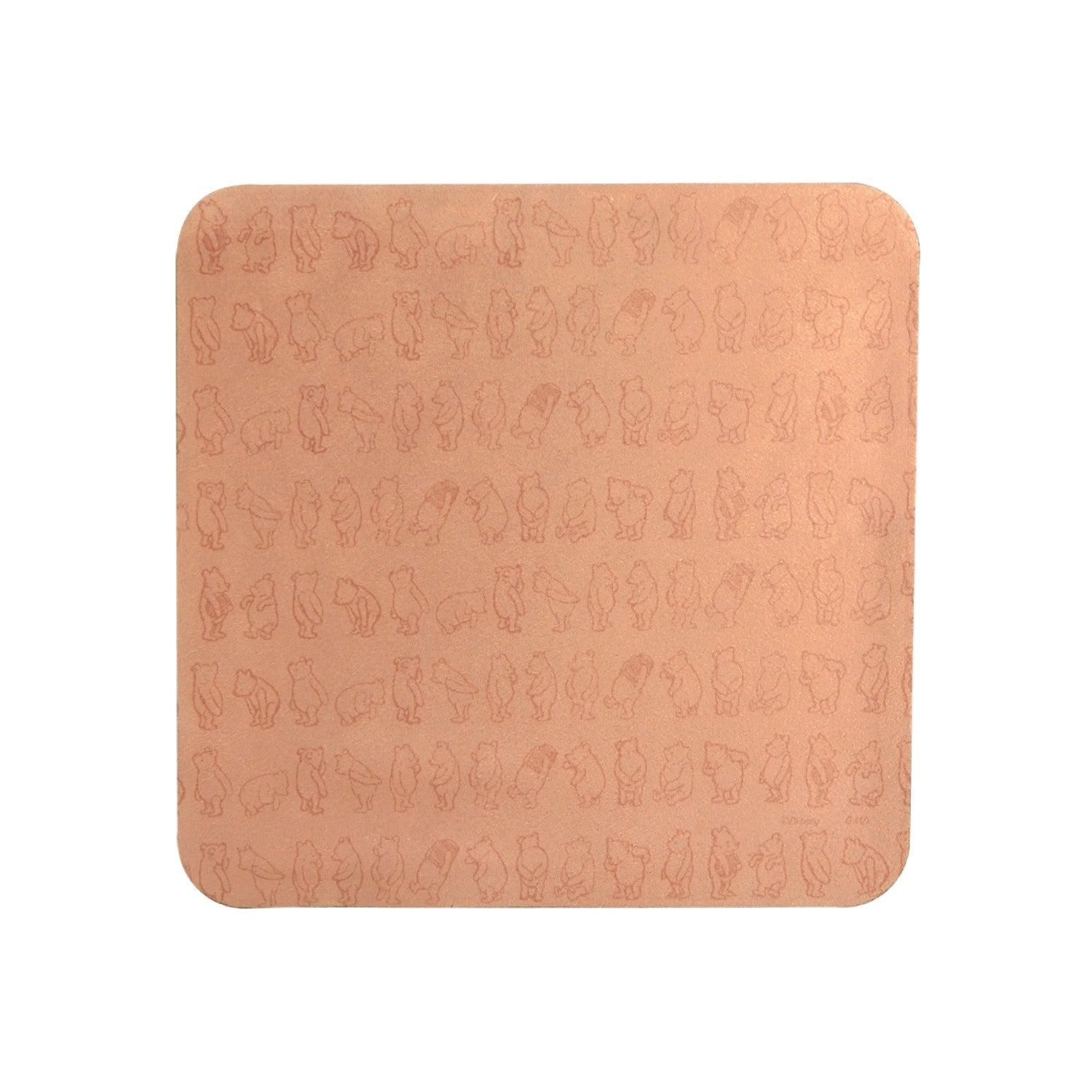 Winnie the Pooh Ippai Mobile Cleaner DNG-123A